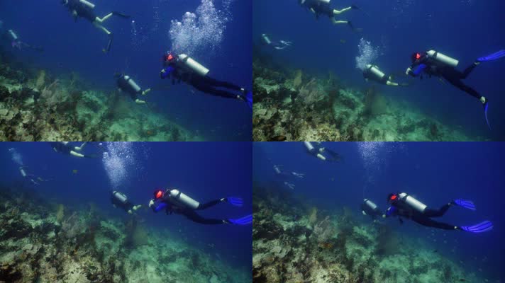 潜水员 海底世界 珊瑚礁  