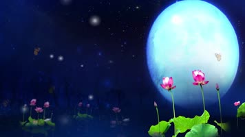 荷塘月色歌曲配乐成品唯美浪漫舞台背景