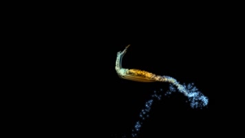 粒子光效 粒子光效