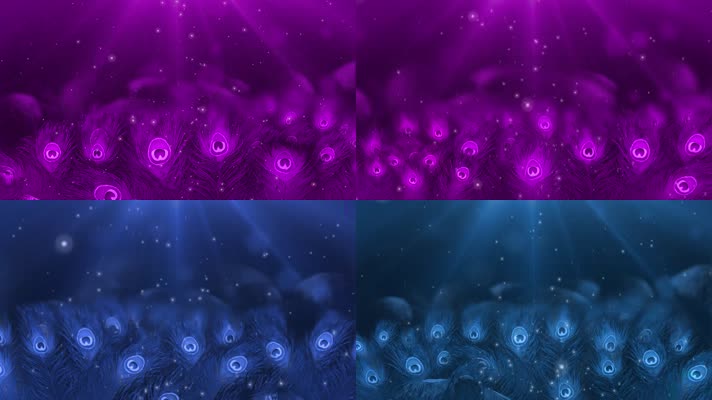 蓝色紫色梦幻孔雀羽毛