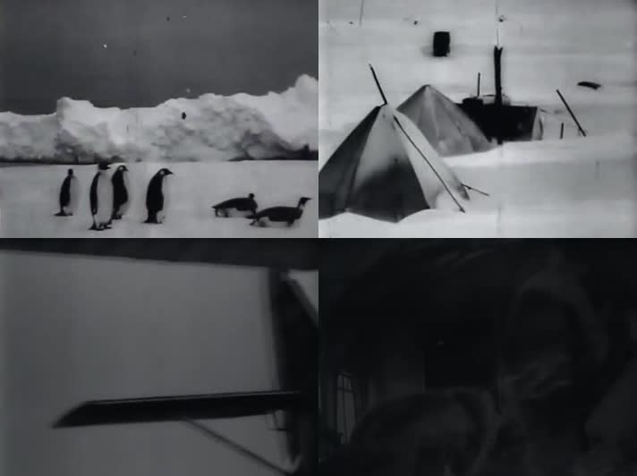 376-20年代美国南极科研考察