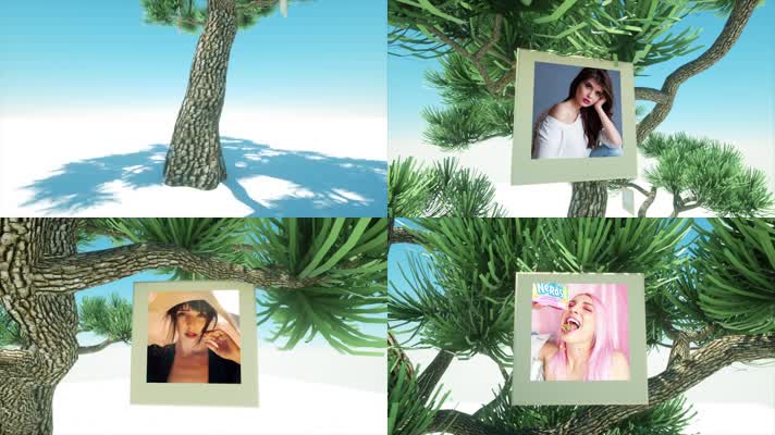 挂在树上的照片展示AE模板