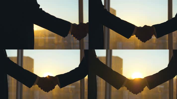 握手 合作成功 商务 接见 会晤