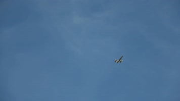 4K实拍二战老式战斗机飞行表演