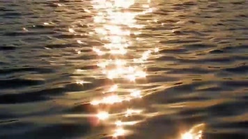 水中的眩光阳光水水中的太阳轨道