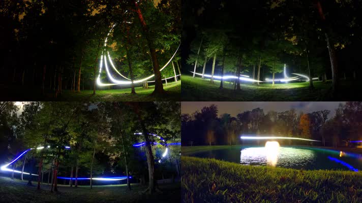4k创意酷炫灯光穿梭树林