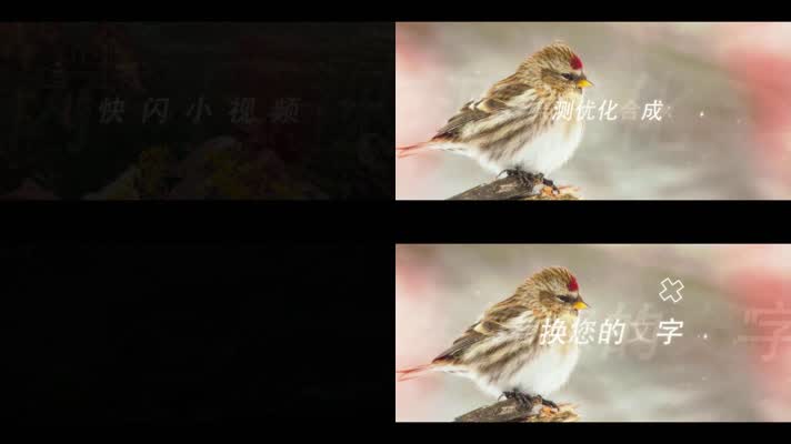 10秒钟炫酷图片快闪文字动画推广小视频片头