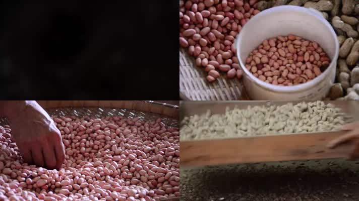 剥花生花生米花生果粮食农粮种子农业素材