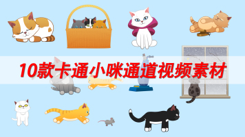 10组高清可爱卡通小猫透明通道视频素材合集