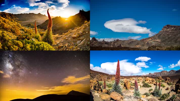 2K超震撼气势恢宏的大自然生态环境