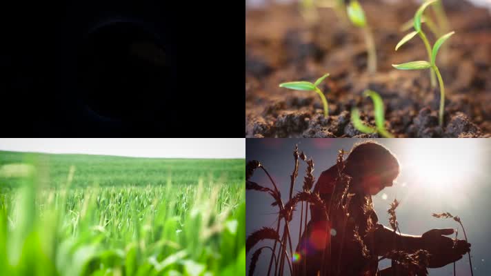 农业素材农业科技宣传素材