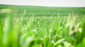 农业素材农业科技宣传素材 农业素材农业科技宣传素材