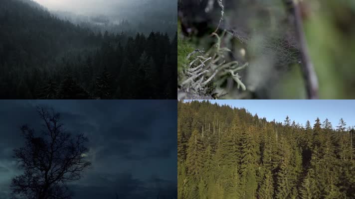 大地日月精华自然生态环境环保宣传