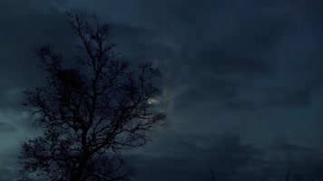 大地日月精华自然生态环境环保宣传 大地日月精华自然生态环境环保宣传