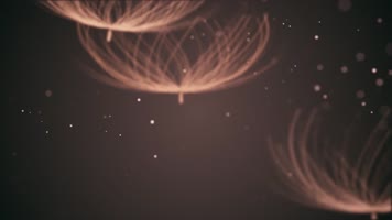 蒲公英粒子光斑飘动