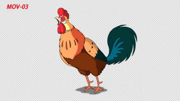 带通道MG卡通动漫卡通公鸡打鸣少儿节目动画
