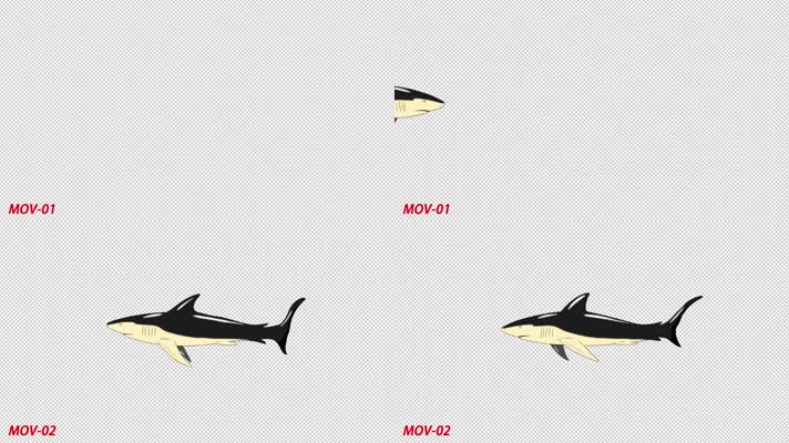 带通道卡通动漫卡通鲨鱼MG少儿节目动画元素