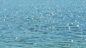 蓝色海面波光粼粼