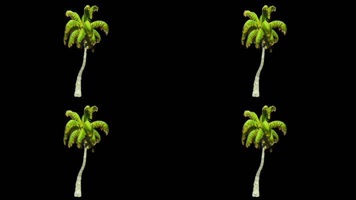 【HD】椰子树02(带透明通道)