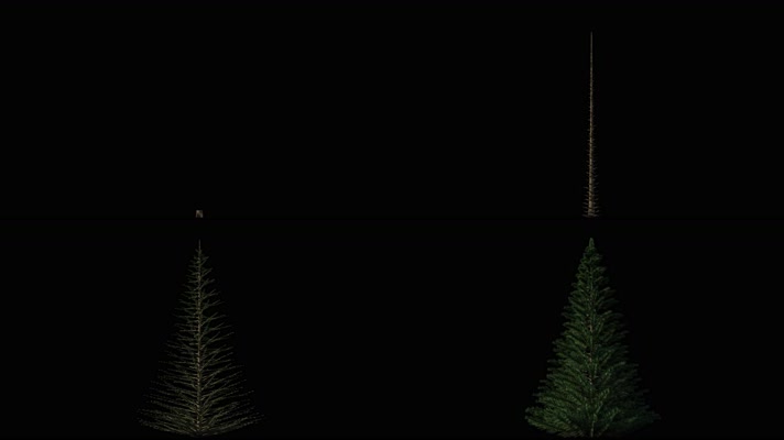 【4K】圣诞树生长（带透明通道）