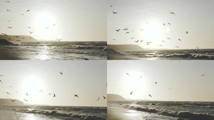 海上日出飞鸟唯美风景