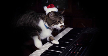 4K搞笑猫咪戴圣诞帽激情跳跃弹钢琴