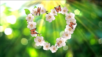 春天的爱心花朵婚庆背景