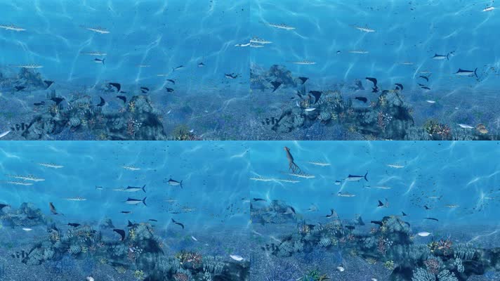 海底世界海洋鱼群