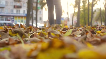 女子踏树叶 玩耍 秋色  