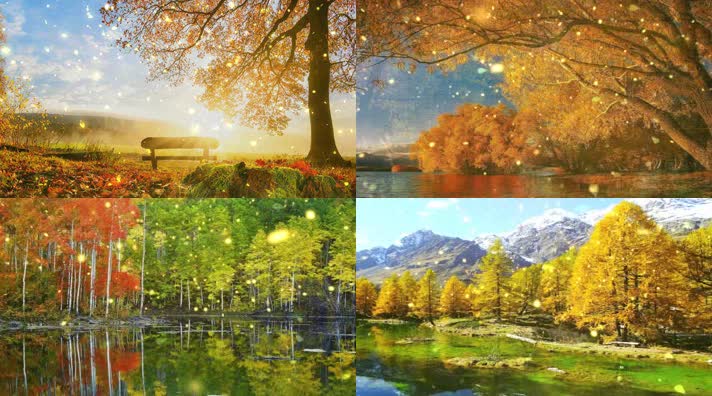 歌曲《秋蝉》刘文正配乐成品