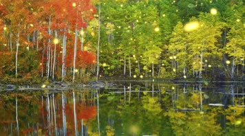 歌曲《秋蝉》刘文正配乐成品