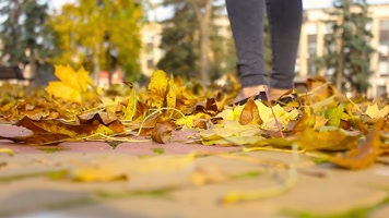 女子踏树叶 玩耍 秋色  