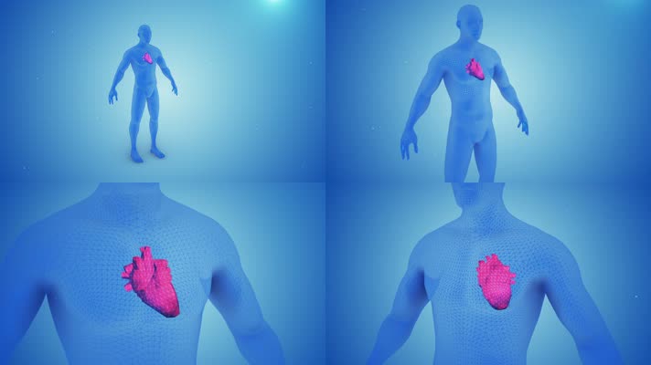 心脏特写 心脏特写