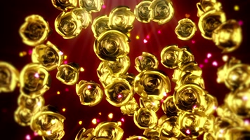 金色玫瑰 华丽 闪耀 奢华变幻  