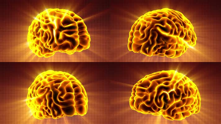 4K超清发光金光大脑旋转