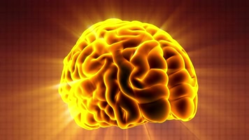 4K超清发光金光大脑旋转