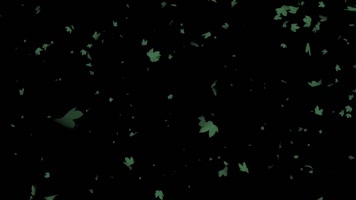 树上的叶子飘落动画黑屏1080p