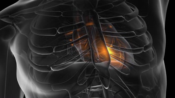 HD高清X光人体透视心脏心房特写