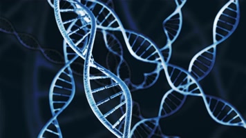 高清医学DNA分子式双螺旋结构动态视频