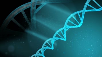 高清医学DNA分子式双螺旋结构动态视频