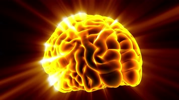 4K脑黄金旋转金光发射发光大脑