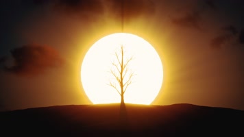日出树木生长舞台表演视频