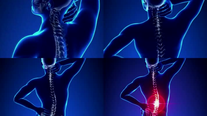 三维人体脊柱脊椎颈椎机能-人体健康-医学