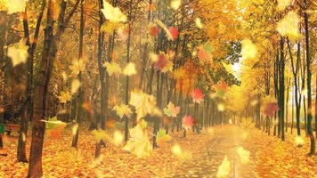 片片枫叶情配乐成品