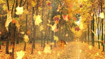 梦幻金色秋天回忆背景