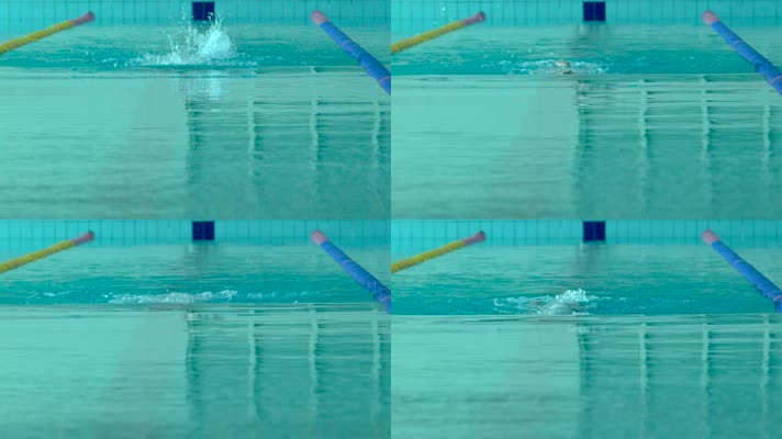专业运动员 游泳 自由泳 