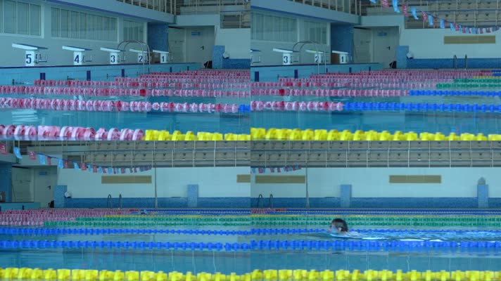 专业运动员 游泳 自由泳 