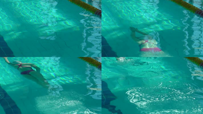 专业运动员 游泳 自由泳  