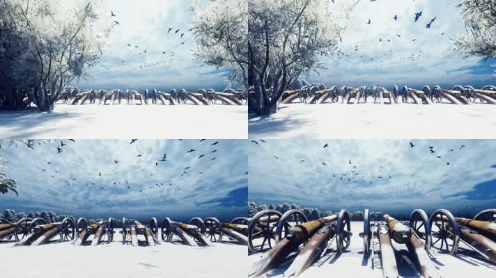 【4K】一排大炮