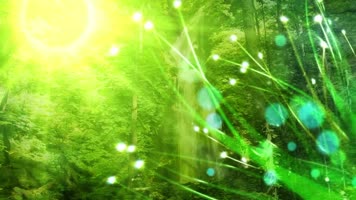 阳光树叶森林草坪大自然唯美拍摄视频素材
